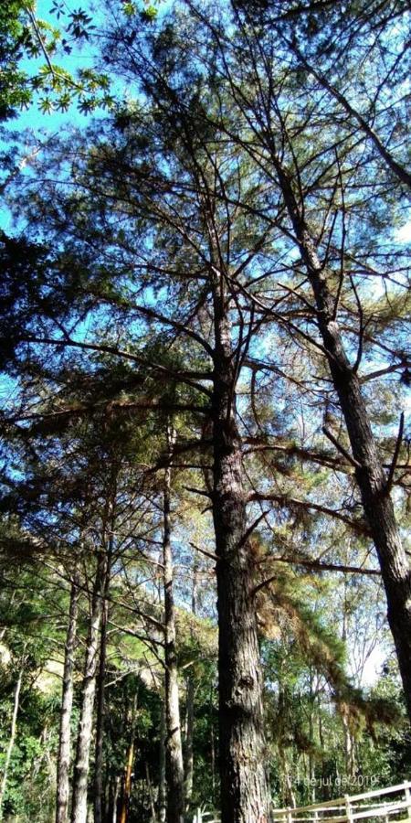 הוילה Petrópolis Nosso Sitio - Rancho Santa Clara Itaipava מראה חיצוני תמונה