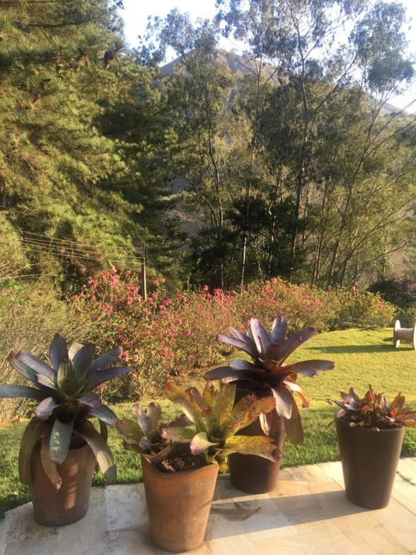 הוילה Petrópolis Nosso Sitio - Rancho Santa Clara Itaipava מראה חיצוני תמונה